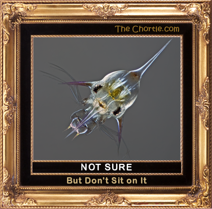 Not sure.  But don't sit on it.