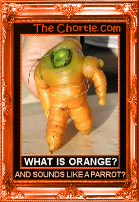 What is orange and sounds like a parrot?