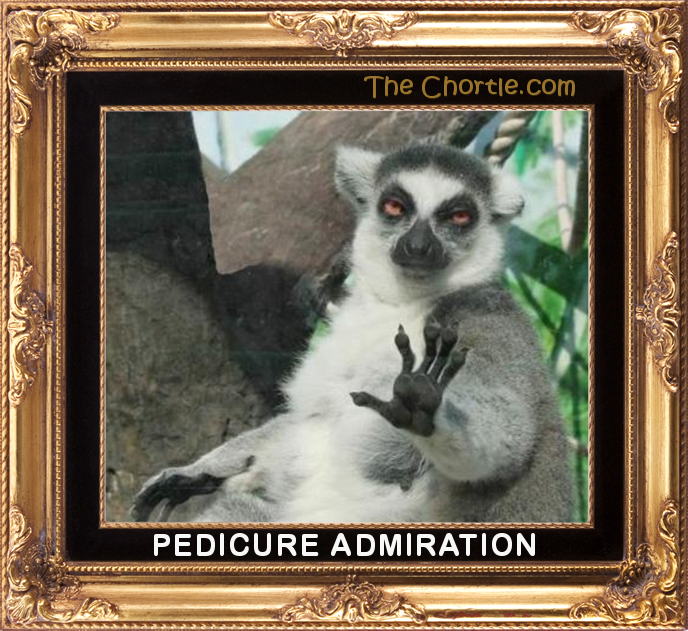 Pedicure admiration