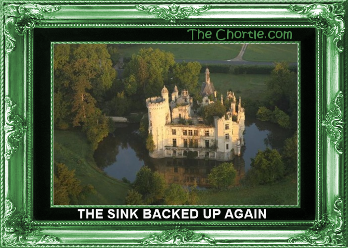 The sink backed up again