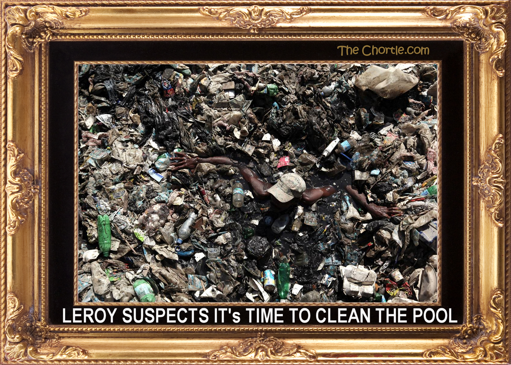 Leroy suspects it's time to clean the pool.