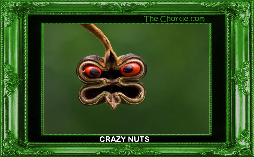 Crazy nuts