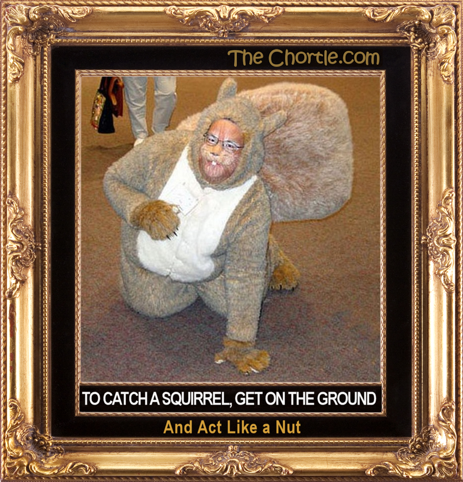 To catch a squirrel, get on the ground and act like a nut.