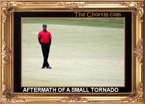 Aftermath of a small tornado