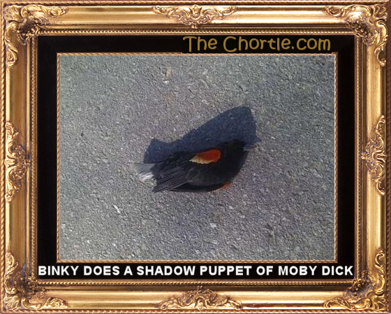 Binky does a shadow puppet of Moby Dick.