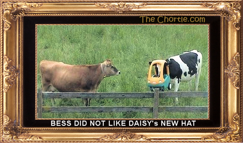 Bess did not like Daisy's new hat.