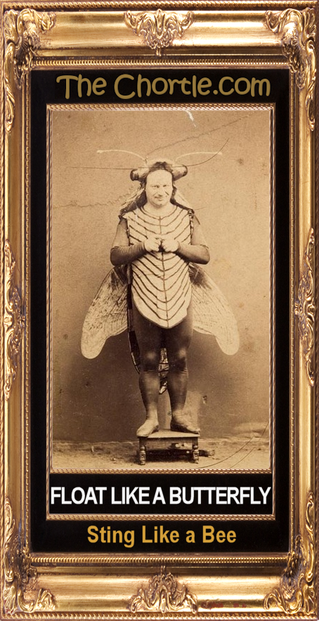 Float like a butterfly.  Sting like a bee.