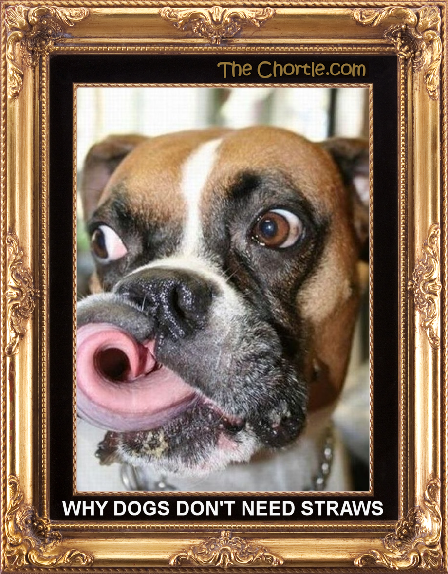 Why dog don't need straws.