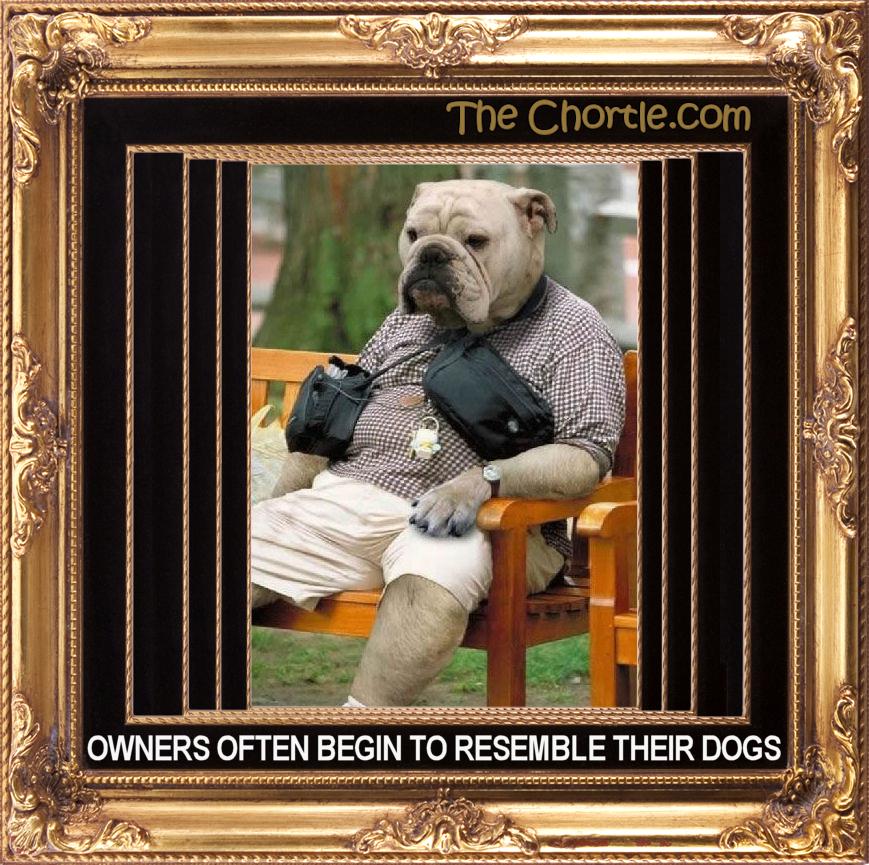 Owners often begin to resemble their dogs.