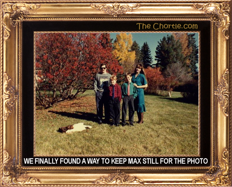 We finally found a way to keep Max still for the photo.