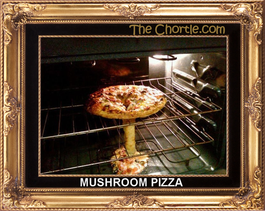 Mushroom pizza