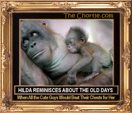 Hilda reminisces about the old days when all the cute guys would beat their chests for her