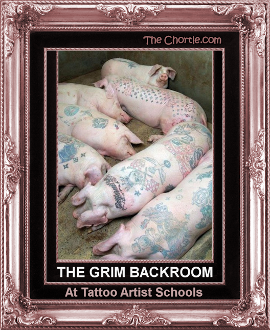 The grim backroom at tattoo artist schools
