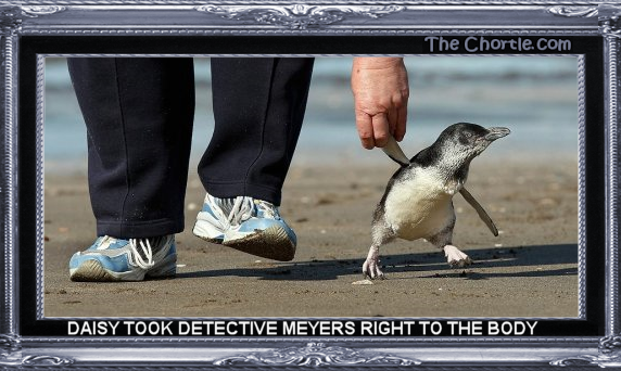 Daisy took Detective Meyers right to the body