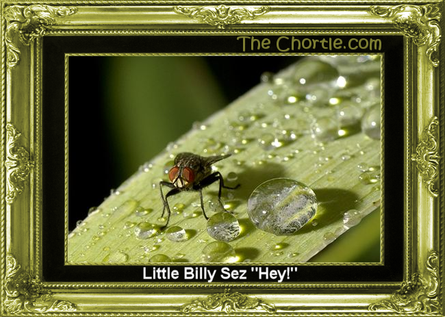 Little Billy sez "Hey!"
