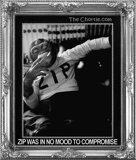 Zip was in no mood to compromise