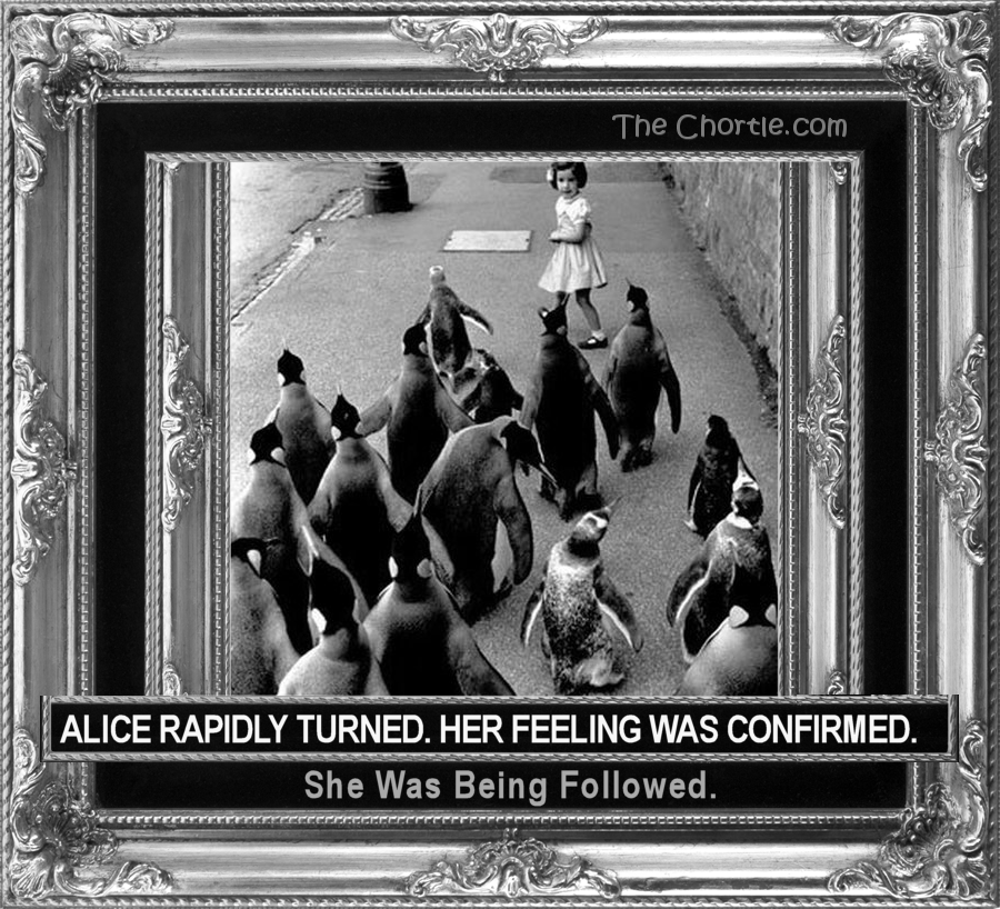 Alice rapidly turned. Her feeling was confirmed. She wass being followed.