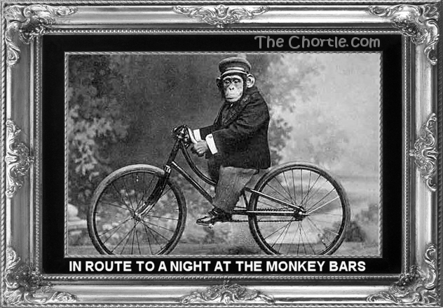 In route to a night at the monkey bars