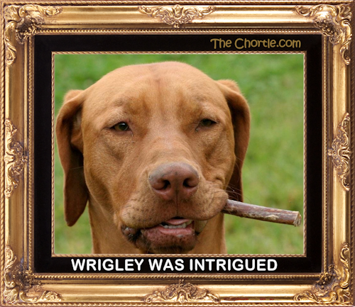 Wrigley was intrigued