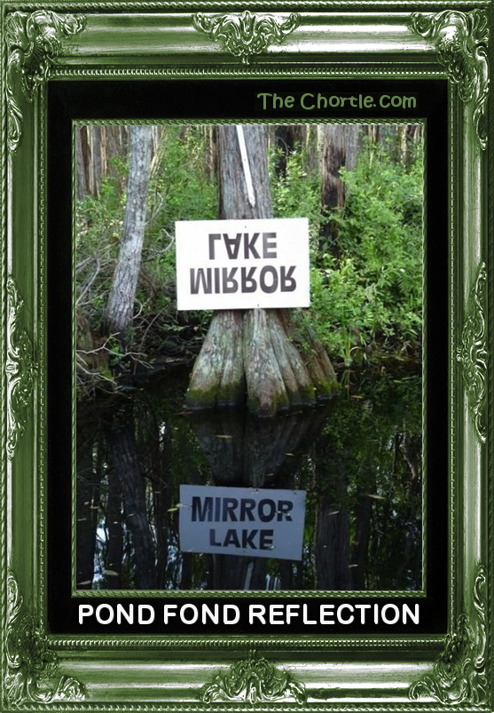 Pond Lake Reflection