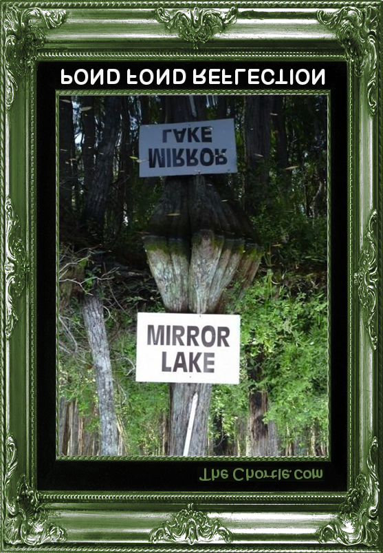 Noitcelfer Ekal Dnop