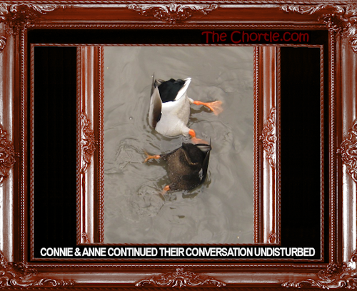 Connie and Anne continued their conversation undisturbed.