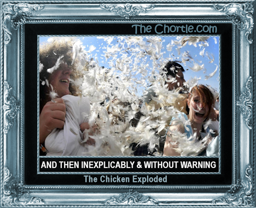 And then inexplicably & without warning, the chicken exploded.