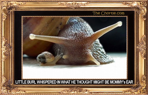 Little Burl whispered in what he thought might be Mommy's ear.