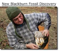 Blackburn Woman: The Wife of Our Missing Link on the Evolution Chain