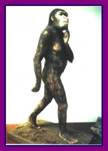 Creation: Lucy walks