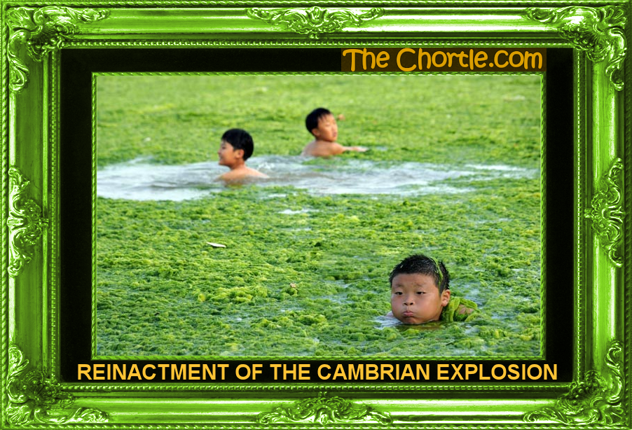 The Cambrian Explosion