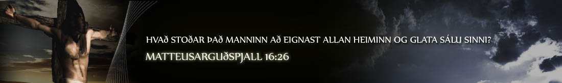 Mofa blogg - Hausmynd