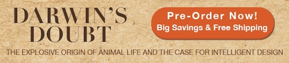 DD Banner Ad v1.2.jpg