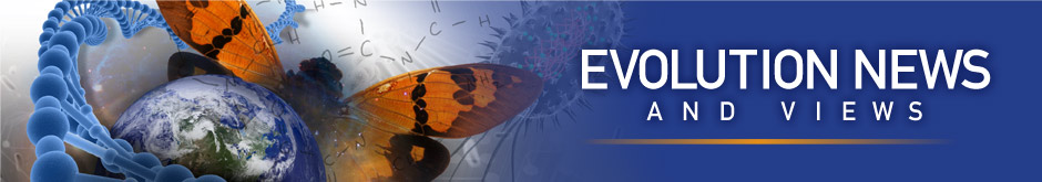 Evolution News and Views