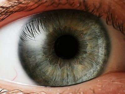 Ухо слышащее и глаз видящий