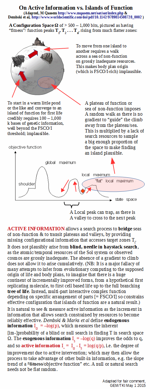 is_ o_func2_activ_info