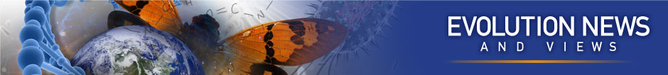 Evolution News and Views